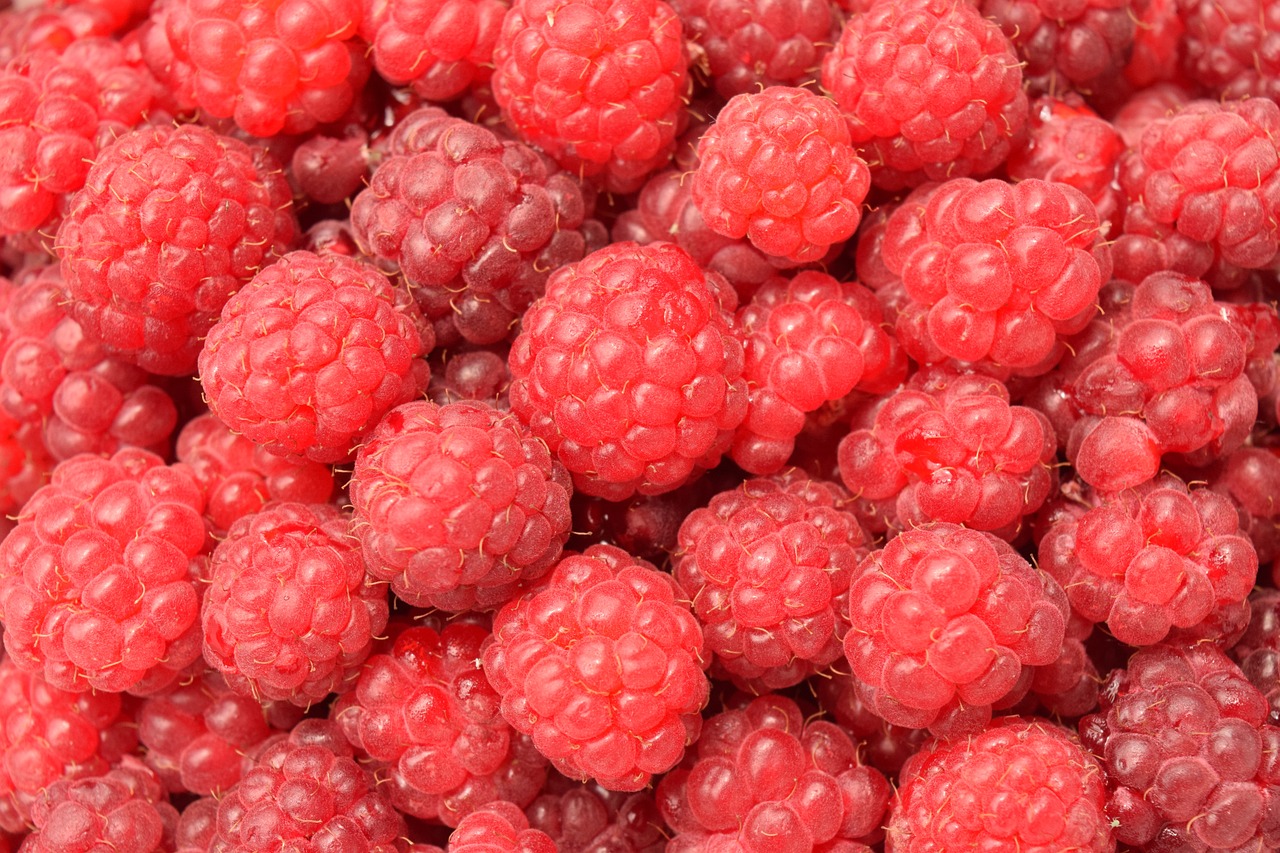 raspberries 1495713 1280